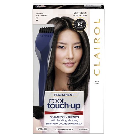 root touch up clairol black